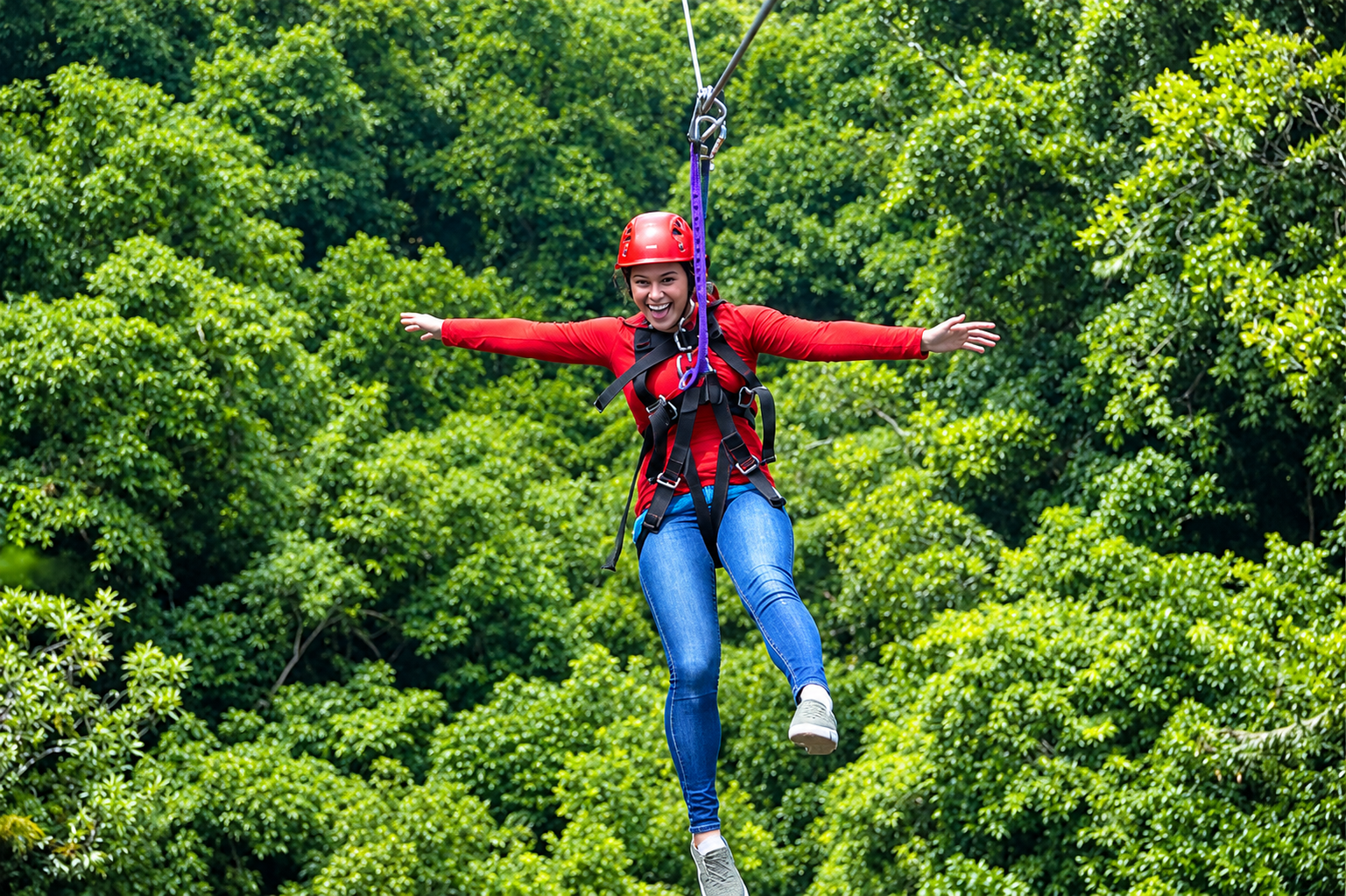 Zip Line